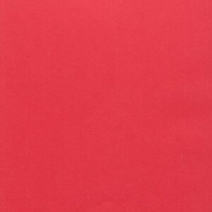 Katalog "Trotz und Übermut"