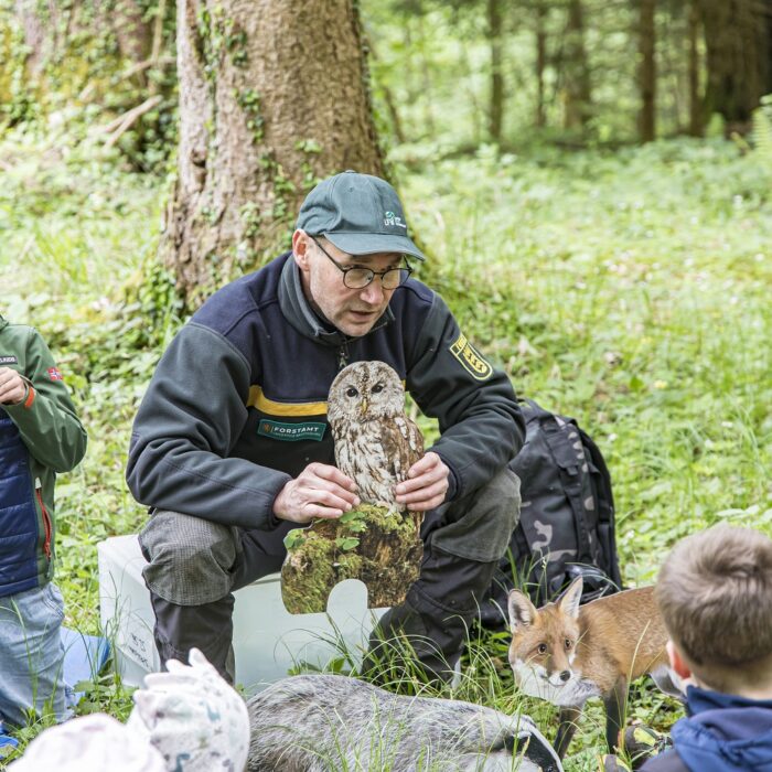 Förster Christian Reich stellt Kindern im Wald die einheimische Tierwelt vor